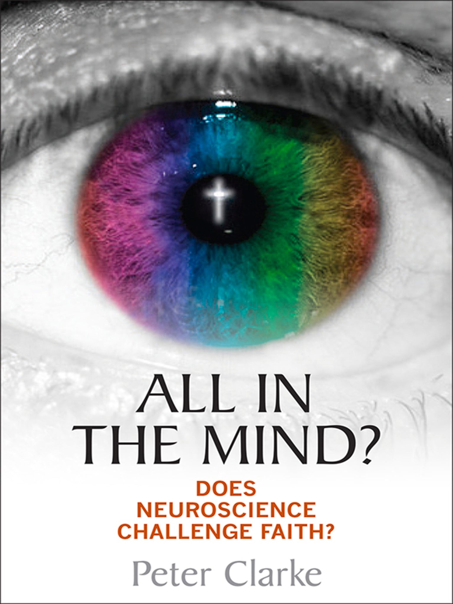Cover image for All in the Mind? ISBN 9780745956756